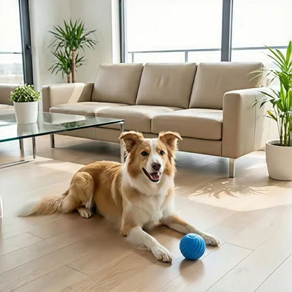 Smart Interactive Bouncing Ball